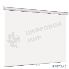 Настенный экран Lumien Eco Picture 206х274см (рабочая область 198х266 см) Matte White прямоуголный корпус, возможность потолочн./настенного крепления, уровень в комплекте, 4:3