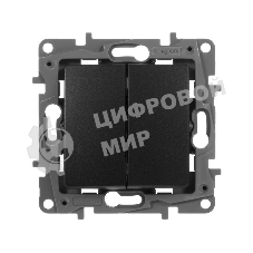 Выключатель двухклавишный, автоматические клеммы, Etika, 10AX, 250В~, антрацит Выключатель двухклавишный, автоматические клеммы, Etika, 10AX, 250В~, антрацит