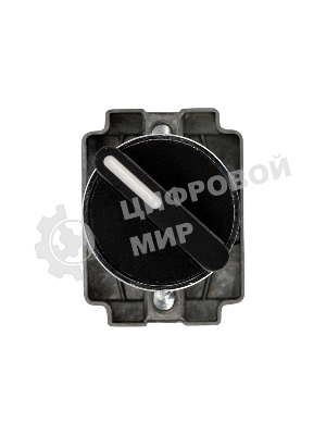 Переключатель Rexant BD21 2P короткая ручка NO