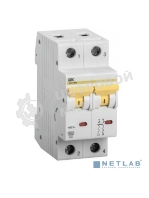 Выключатель автоматический однополюсный IEK MVA31-2-025-C ВА47-60M 2Р 25А 6кА С