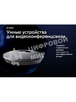 Микрофон Sber SDMIC-001