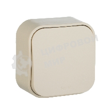 Выключатель 10A 1-клав., сл. кость Quteo