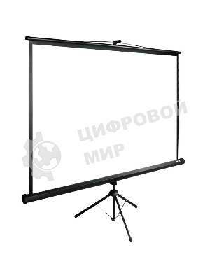 Экран Cactus 200x200 см TriExpert CS-PSTE-200х200-BK 1:1 напольный рулонный