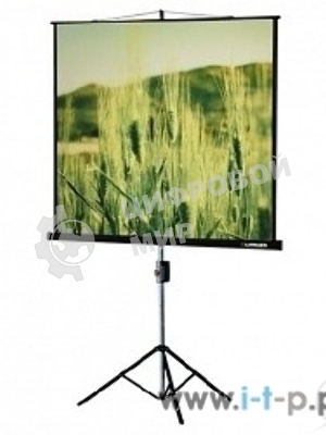 Экраны LUMIEN Lumien Экран на треноге 180x180 см Eco View LEV-100102 1:1 с возможностью настенного крепления