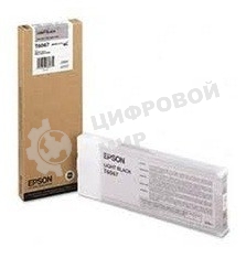 Картридж Epson C13T606700 серый (220 мл.) для Stylus Pro 4880
