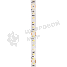 Лента светодиодная Rexant 24В, SMD2835, 9,6Вт/м, 120 LED/м, 6500K, 10мм, 5м,IP20