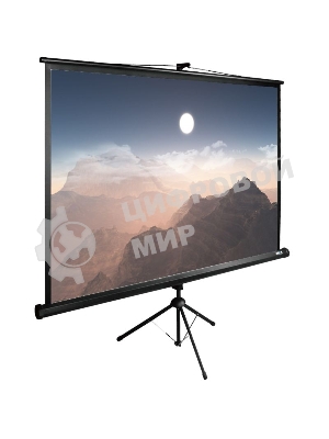 Экран Cactus 180x180 см TriExpert CS-PSTE-180x180-BK 1:1 напольный рулонный