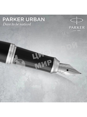 Ручка перьевая Parker Urban Core F309 (CW1931592) Muted Black CT F сталь нержавеющая подар.кор.