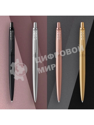 Ручка шариковая Parker Jotter Monochrome XL SE20 (CW2122756) Stainless Steel, M, синие чернила, подарочная коробка