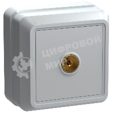 Розетка телевизионная TV 1-м ОП Октава РТВ20-ОБ IP20 белый IEK EAO10-K01-DC