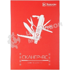 Программное обеспечение Эшелон Средство анализа защищенности Сканер-ВС лиц. на 4 IP на 1год (SCANER-VS-5-04-F)