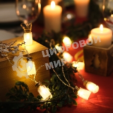 Гирлянда светодиодная Neon-night 