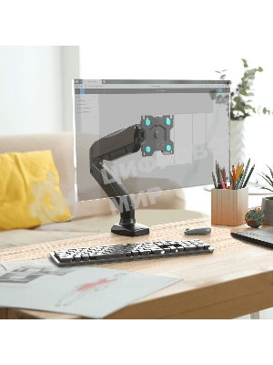 Кронштейн (держатель) ONKRON G80 для монитора 13