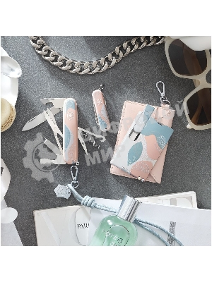 Швейцарская карта Victorinox Swiss Card Classic Paris Style (0.7100.E221) розовый коробка подарочная