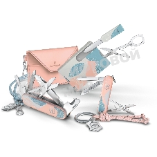 Швейцарская карта Victorinox Swiss Card Classic Paris Style (0.7100.E221) розовый коробка подарочная