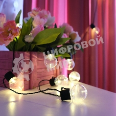 Лофт-гирлянда Neon-night светодиодная 5 м, черный ПВХ, 20 LED, теплое белое свечение