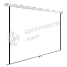 Экран Cactus 200x200 см WallExpert CS-PSWE-200x200-WT 1:1 настенно-потолочный рулонный