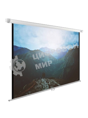 Экран Cactus 240x240 см WallExpert CS-PSWE-240x240-WT 1:1 настенно-потолочный рулонный