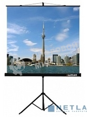 Экран на треноге Lumien 160x160см Eco View LEV-100105 1:1 напольный рулонный