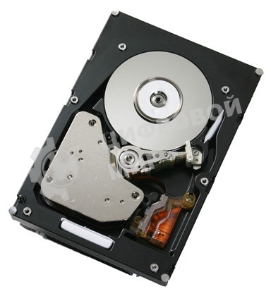 Жесткий диск IBM 300Gb 2Gbs FC E-DDM HDDS 1