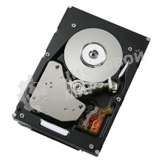 Жесткий диск IBM 300Gb 2Gbs FC E-DDM HDDS 1
