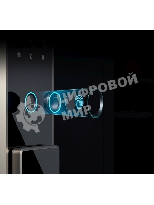 Сейф Deli ET596 600x380x360мм электронный/ключевой/биометрический трейзер