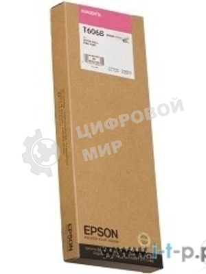 Картридж струйный Epson C13T606B00 пурпурный (220 мл) для Stylus Pro 4800
