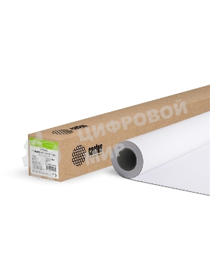 Бумага Cactus CS-PC120-106730 42