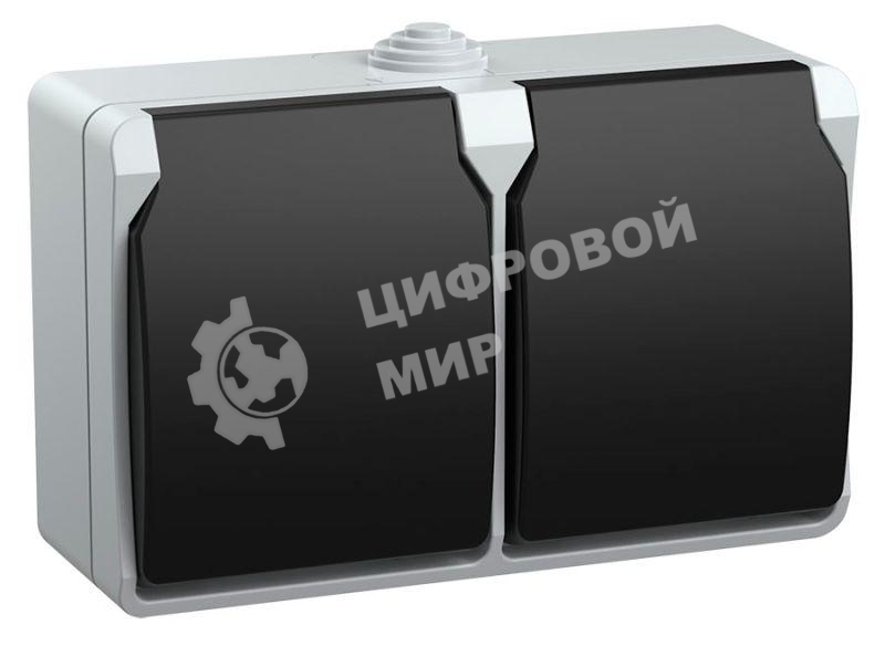 Розетка двухместная РСб22-3-ФСр с з/к для открытой установки IP54 Форс ERS22-K03-16-54-DC IEK