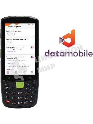 Программное обеспечение Неискл. право на исп-ие DataMobile версия Стандарт подп.1г. (DM12M)