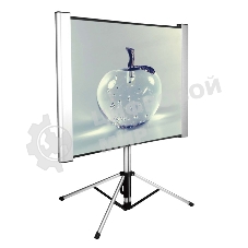 Экран Cactus 102x180 см TriAlExpert CS-PSTALE-180X102 16:9 напольный рулонный