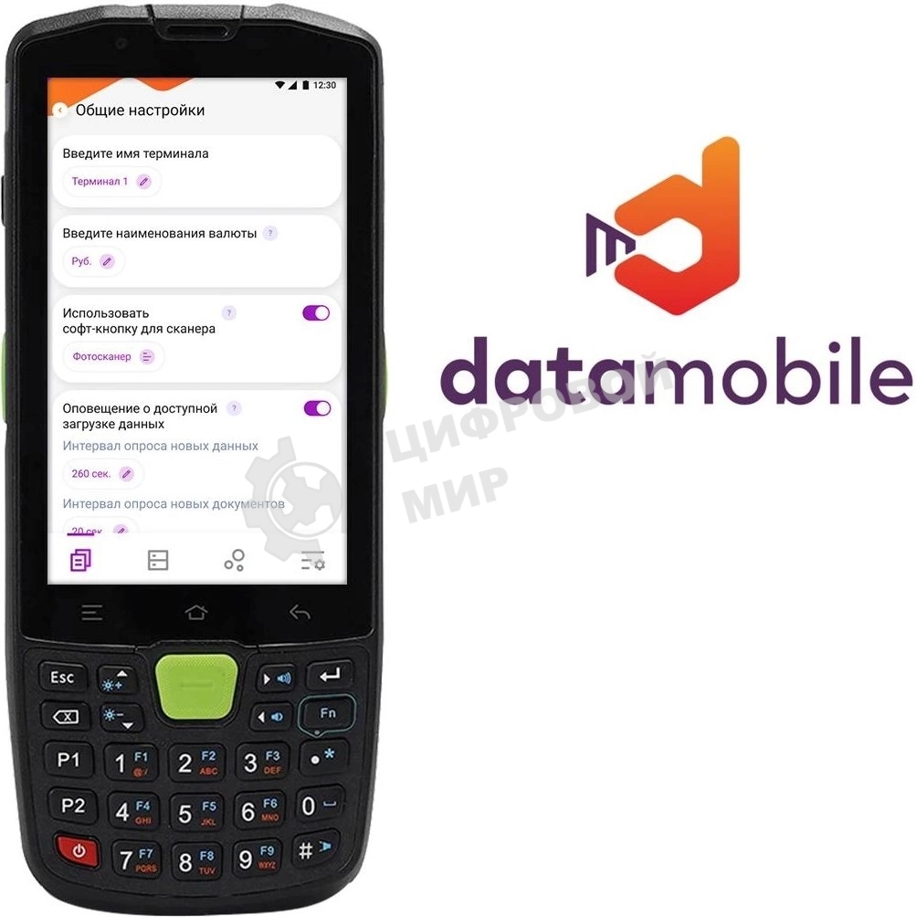 Программное обеспечение Неискл. право на исп-ие DataMobile версия Online Lite подписка на 12г (DMONLINELITE12M)
