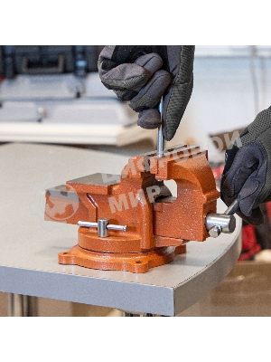 Тиски слесарные Sparta 100мм поворотные с наковальней