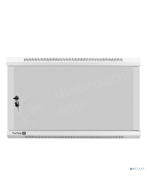 Шкаф телекоммуникационный 19