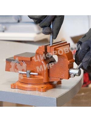 Тиски слесарные Sparta 100мм поворотные с наковальней