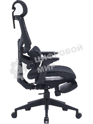 Кресло Cactus CS-CHR-MC01-BK черный, сетка, подголовник