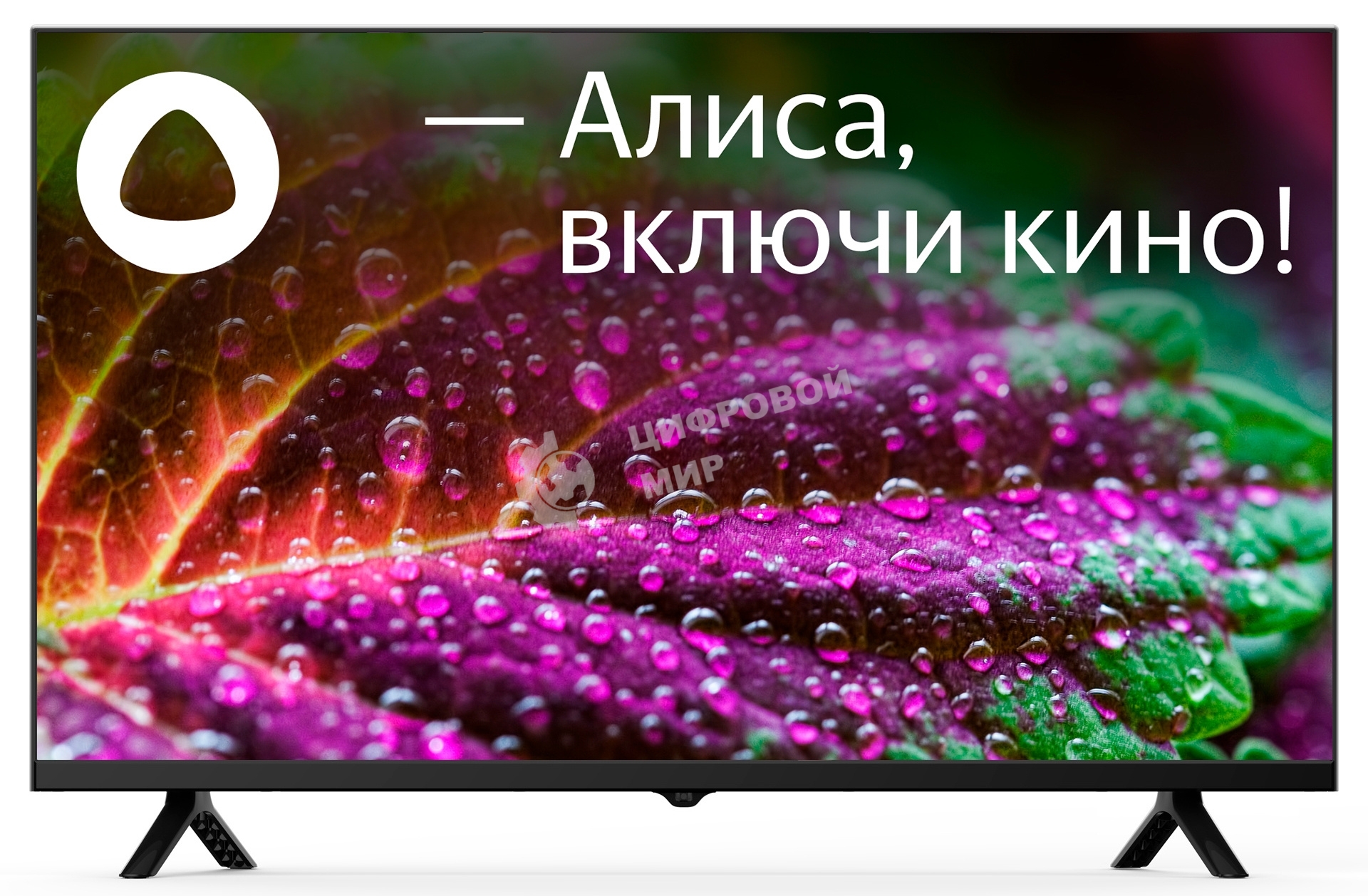 Телевизор Starwind 32