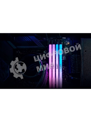 Оперативная память Kingston Fury Renegade, DDR5, 32Gb (1x32Gb), 6400MHz, CL32, DIMM, радиатор, RGB, серебристый/черный