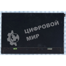 Матрица ZM10091D