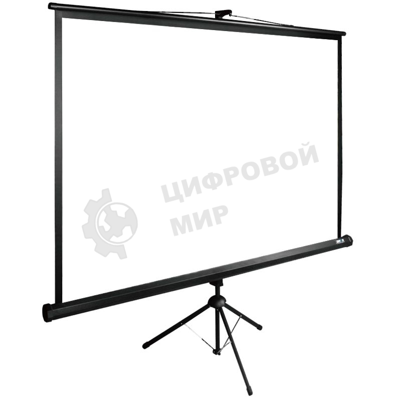 Экран Cactus 150x200 см TriExpert CS-PSTE-200х150-BK 4:3 напольный рулонный