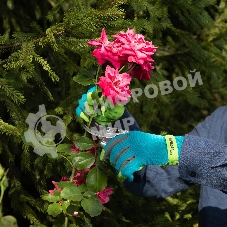 Перчатки садовые Luxe Palisad на липучке, силиконовое нанесение, размер 7