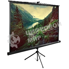 Экран Cactus 220x220 см TriExpert CS-PSTE-220х220-BK 1:1 напольный рулонный