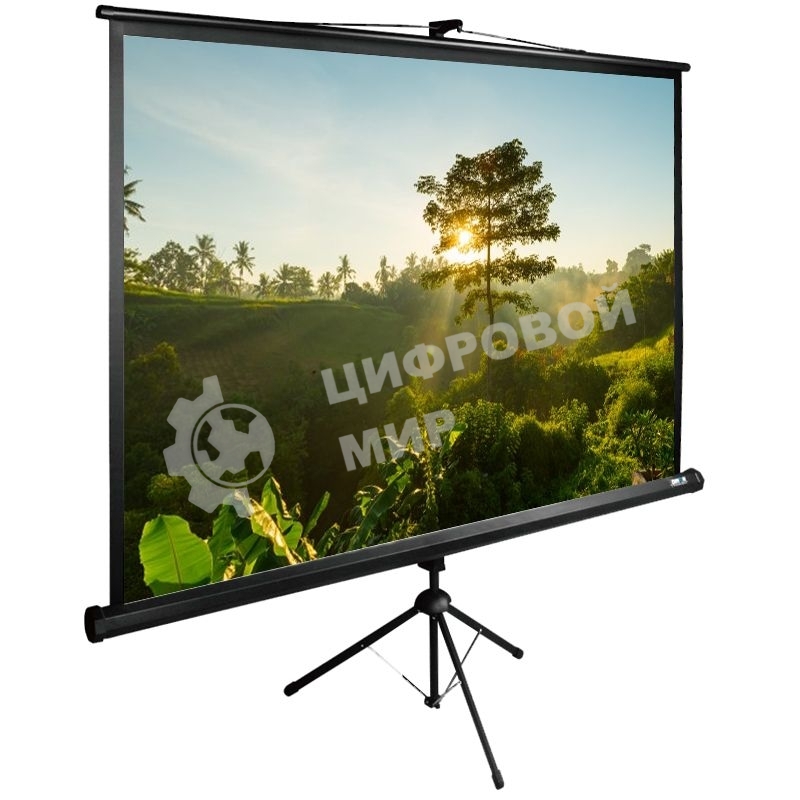 Экран Cactus 200x200 см TriExpert CS-PSTE-200х200-BK 1:1 напольный рулонный