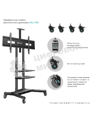 Стойка для телевизора с кронштейном ONKRON TS1881 50