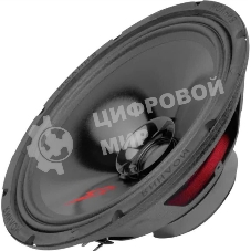 Колонки автомобильные Ural Молния АС-МЛ250 (без решетки) 300Вт 95дБ 4Ом 25см (10дюйм) (ком.:2кол.) широкополосные однополосные