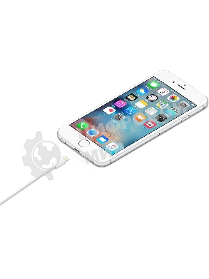 Кабель Apple для iPhone 5/5S MD819ZM/A (MD819ZM/A)