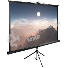 Экран Cactus 180x180 см TriExpert CS-PSTE-180x180-BK 1:1 напольный рулонный