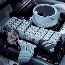 Оперативная память Kingston Fury Renegade, DDR5, 32Gb (2x16GB), 7200MHz, CL38, DIMM, радиатор, белый