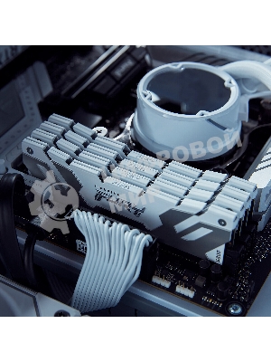 Оперативная память Kingston Fury Renegade, DDR5, 32Gb (2x16GB), 7200MHz, CL38, DIMM, радиатор, белый