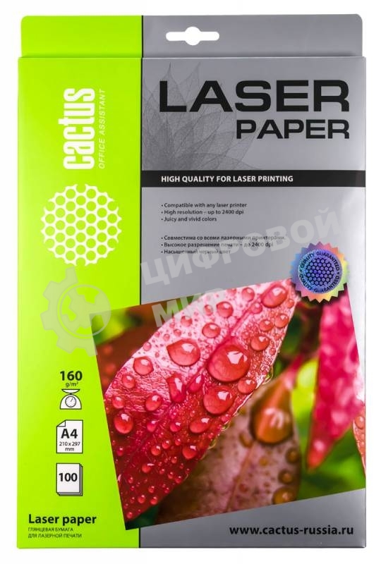 Фотобумага Cactus CS-LPA4160100 A4/160г/м2/100л./белый глянцевое для лазерной печати
